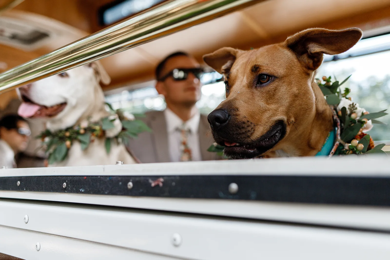 Miami & South Florida wedding photography by Precious Pics